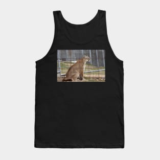 Cougar Tank Top